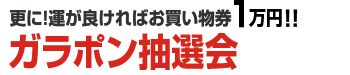 更に！運が良ければお買い物券1万円！！ガラポン抽選会